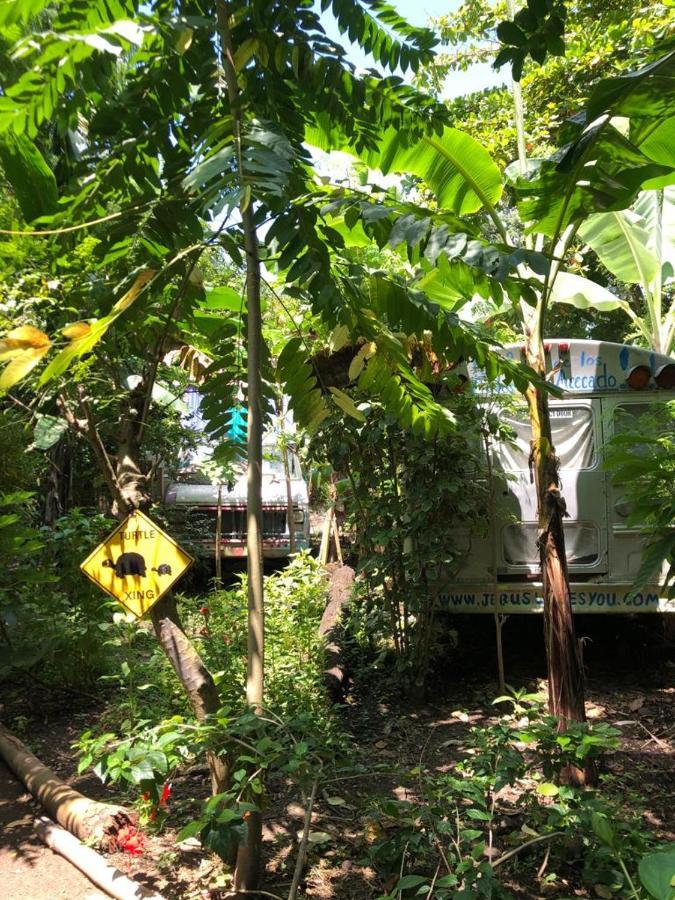 Rainbow Caravan Hostel Las Pilas ภายนอก รูปภาพ