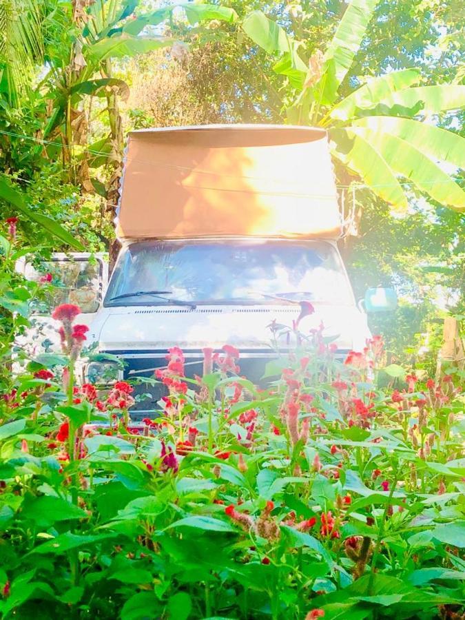 Rainbow Caravan Hostel Las Pilas ภายนอก รูปภาพ