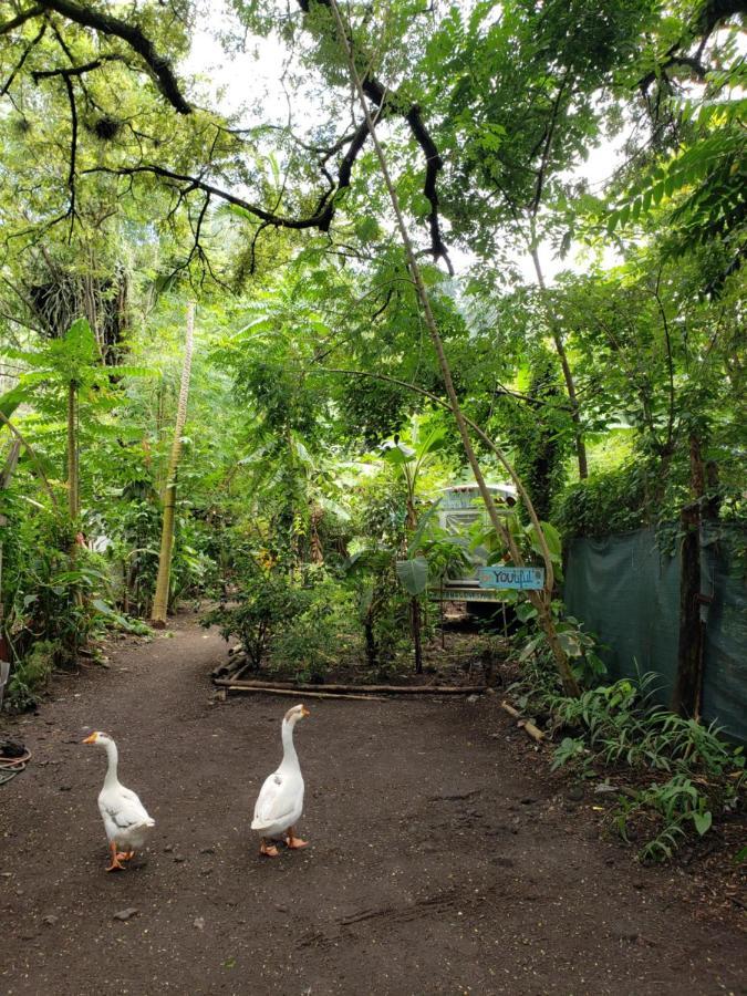 Rainbow Caravan Hostel Las Pilas ภายนอก รูปภาพ
