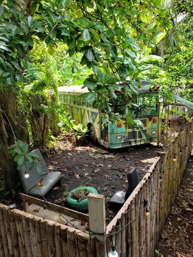 Rainbow Caravan Hostel Las Pilas ภายนอก รูปภาพ